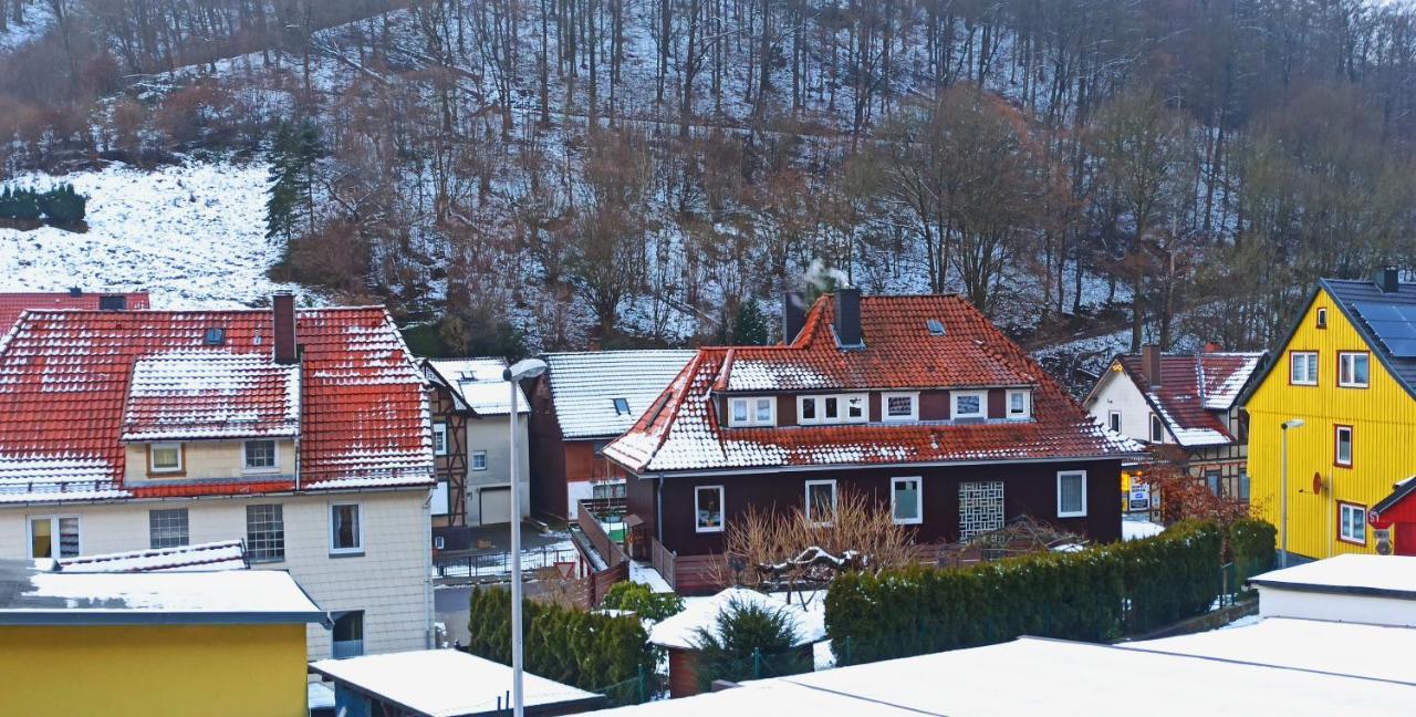Arode Huette Harzilein - Romantic Tiny House On The Edge Of The Forest Zorge ภายนอก รูปภาพ