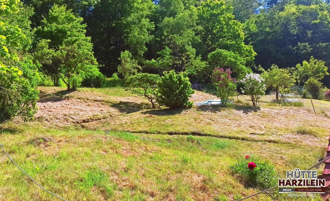 Arode Huette Harzilein - Romantic Tiny House On The Edge Of The Forest Zorge ภายนอก รูปภาพ